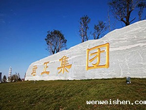 内蒙古君正化工有限责任公司