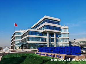 现代海洋化工中试基地实验室建设