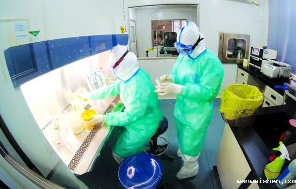 青岛多家核酸实验室正式投入使用(图1) 青岛核酸实验室投入使用